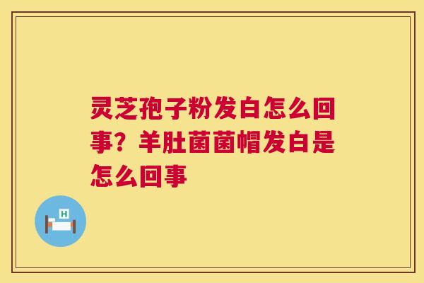 灵芝孢子粉发白怎么回事?羊肚菌菌帽发白是怎么回事 第1张 灵芝孢子粉发白怎么回事?羊肚菌菌帽发白是怎么回事 第1张