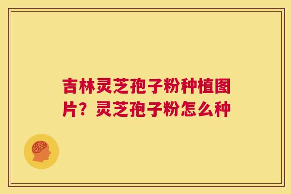 吉林灵芝孢子粉种植图片？灵芝孢子粉怎么种  第1张
