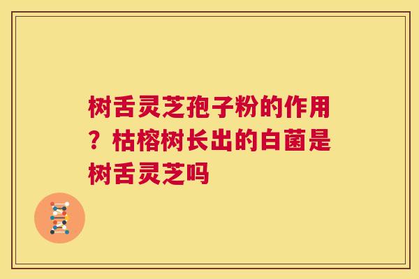 树舌灵芝孢子粉的作用?枯榕树长出的白菌是树舌灵芝吗 第1张 树舌灵芝孢子粉的作用?枯榕树长出的白菌是树舌灵芝吗 第1张