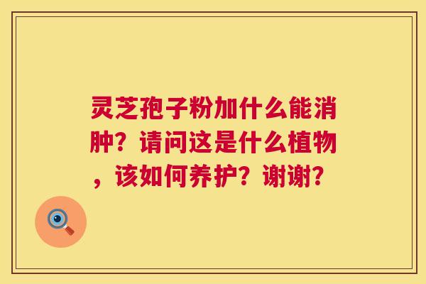 灵芝孢子粉加什么能消肿?请问这是什么植物,该如何养护?谢谢? 第1张 灵芝孢子粉加什么能消肿?请问这是什么植物,该如何养护?谢谢? 第1张