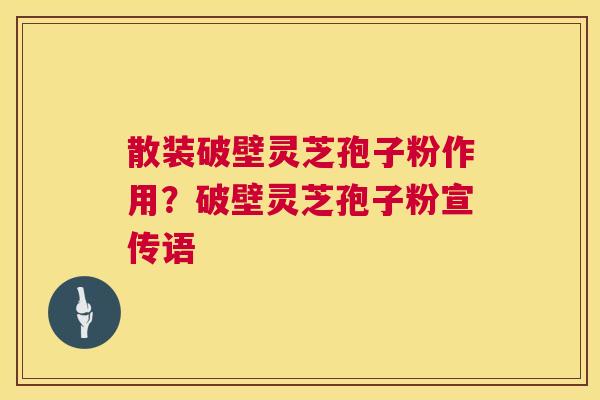 散装破壁灵芝孢子粉作用?破壁灵芝孢子粉宣传语 第1张 散装破壁灵芝孢子粉作用?破壁灵芝孢子粉宣传语 第1张