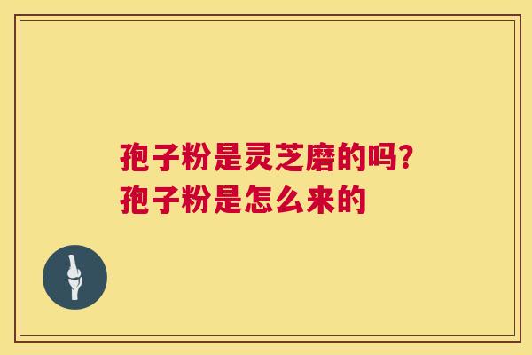 孢子粉是灵芝磨的吗?孢子粉是怎么来的 第1张 孢子粉是灵芝磨的吗?孢子粉是怎么来的 第1张