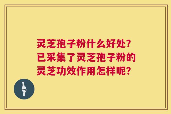 灵芝孢子粉什么好处?已采集了灵芝孢子粉的灵芝功效作用怎样呢? 第1张 灵芝孢子粉什么好处?已采集了灵芝孢子粉的灵芝功效作用怎样呢? 第1张