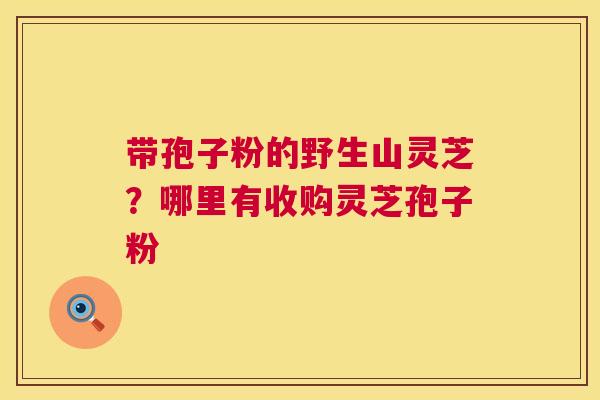 带孢子粉的野生山灵芝?哪里有收购灵芝孢子粉 第1张 带孢子粉的野生山灵芝?哪里有收购灵芝孢子粉 第1张