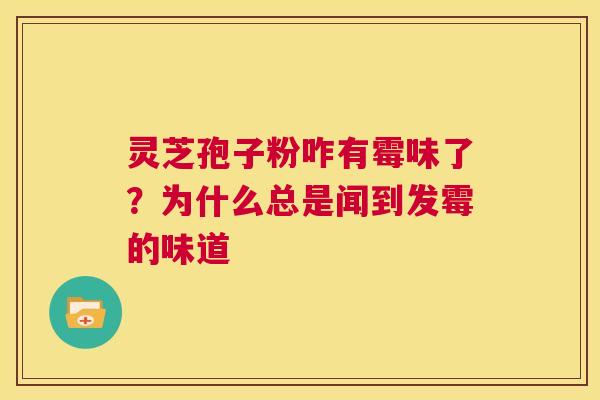 灵芝孢子粉咋有霉味了?为什么总是闻到发霉的味道 第1张 灵芝孢子粉咋有霉味了?为什么总是闻到发霉的味道 第1张