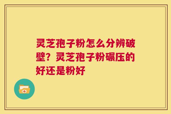 灵芝孢子粉怎么分辨破壁？灵芝孢子粉碾压的好还是粉好  第1张