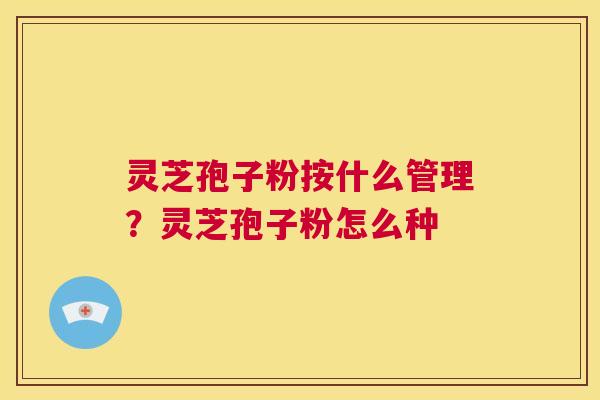 灵芝孢子粉按什么管理?灵芝孢子粉怎么种 第1张 灵芝孢子粉按什么管理?灵芝孢子粉怎么种 第1张