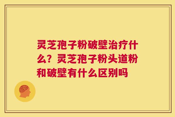 灵芝孢子粉破壁治疗什么?灵芝孢子粉头道粉和破壁有什么区别吗 第1张 灵芝孢子粉破壁治疗什么?灵芝孢子粉头道粉和破壁有什么区别吗 第1张