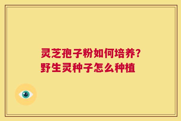 灵芝孢子粉如何培养?野生灵种子怎么种植 第1张 灵芝孢子粉如何培养?野生灵种子怎么种植 第1张