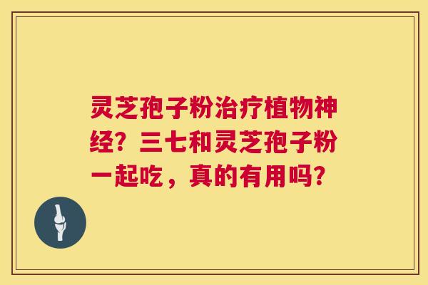 灵芝孢子粉治疗植物神经?三七和灵芝孢子粉一起吃,真的有用吗? 第1张 灵芝孢子粉治疗植物神经?三七和灵芝孢子粉一起吃,真的有用吗? 第1张