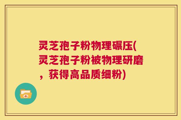 灵芝孢子粉物理碾压(灵芝孢子粉被物理研磨，获得高品质细粉)  第1张