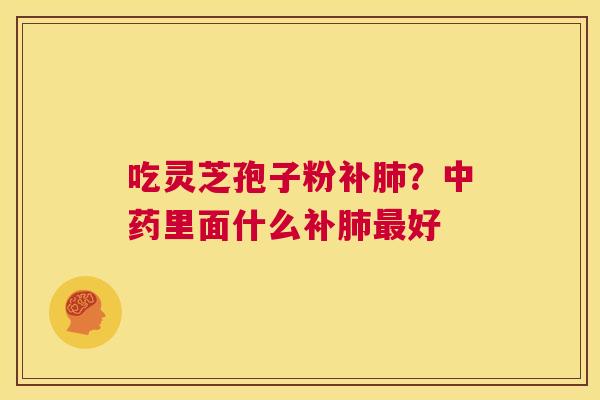 吃灵芝孢子粉补肺?中药里面什么补肺最好 第1张 吃灵芝孢子粉补肺?中药里面什么补肺最好 第1张