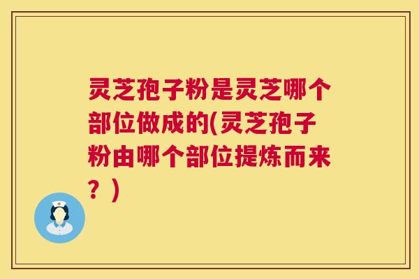 灵芝孢子粉是灵芝哪个部位做成的(灵芝孢子粉由哪个部位提炼而来?) 第1张 灵芝孢子粉是灵芝哪个部位做成的(灵芝孢子粉由哪个部位提炼而来?) 第1张