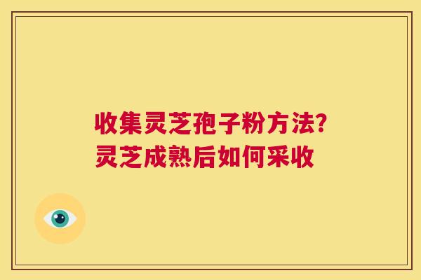 收集灵芝孢子粉方法？灵芝成熟后如何采收  第1张