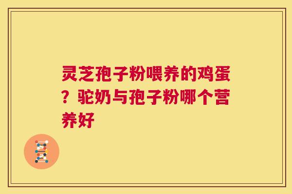 灵芝孢子粉喂养的鸡蛋?驼奶与孢子粉哪个营养好 第1张 灵芝孢子粉喂养的鸡蛋?驼奶与孢子粉哪个营养好 第1张