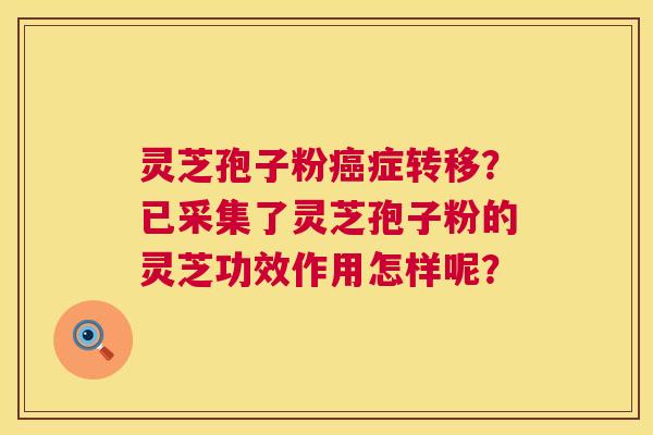 灵芝孢子粉癌症转移?已采集了灵芝孢子粉的灵芝功效作用怎样呢? 第1张 灵芝孢子粉癌症转移?已采集了灵芝孢子粉的灵芝功效作用怎样呢? 第1张