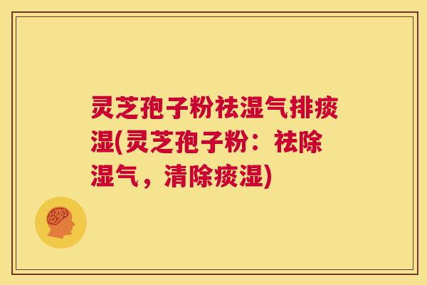 灵芝孢子粉祛湿气排痰湿(灵芝孢子粉：祛除湿气，清除痰湿)  第1张