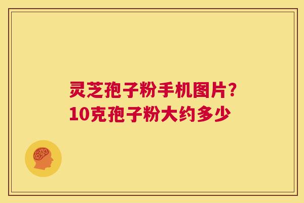 灵芝孢子粉手机图片？10克孢子粉大约多少  第1张
