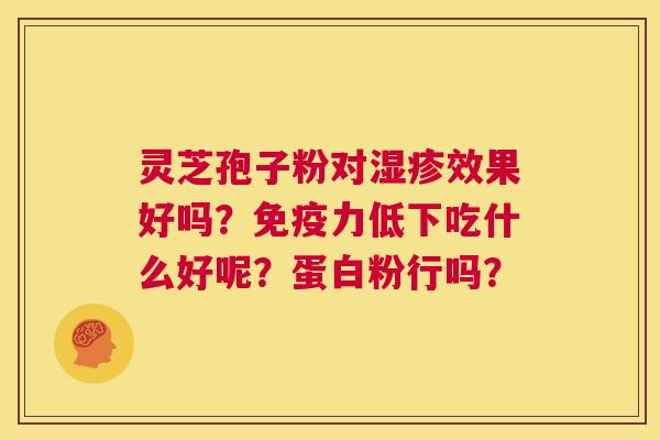 灵芝孢子粉对湿疹效果好吗?免疫力低下吃什么好呢?蛋白粉行吗? 第1张 灵芝孢子粉对湿疹效果好吗?免疫力低下吃什么好呢?蛋白粉行吗? 第1张