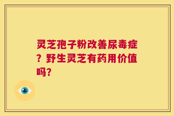 灵芝孢子粉改善尿毒症？野生灵芝有药用价值吗？  第1张