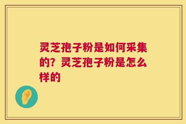 灵芝孢子粉是如何采集的?灵芝孢子粉是怎么样的 第1张 灵芝孢子粉是如何采集的?灵芝孢子粉是怎么样的 第1张