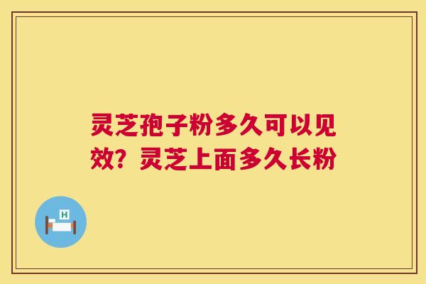 灵芝孢子粉多久可以见效？灵芝上面多久长粉  第1张