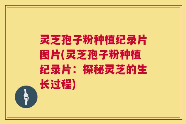 灵芝孢子粉种植纪录片图片(灵芝孢子粉种植纪录片:探秘灵芝的生长过程) 第1张 灵芝孢子粉种植纪录片图片(灵芝孢子粉种植纪录片:探秘灵芝的生长过程) 第1张
