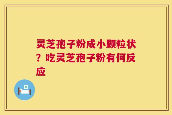 灵芝孢子粉成小颗粒状？吃灵芝孢子粉有何反应  第1张