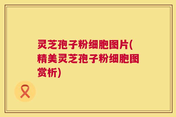 灵芝孢子粉细胞图片(精美灵芝孢子粉细胞图赏析)  第1张