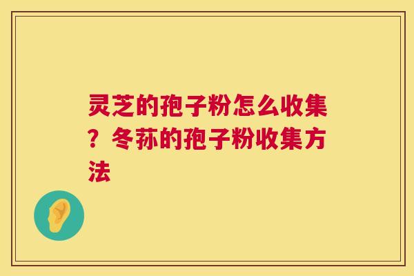 灵芝的孢子粉怎么收集?冬荪的孢子粉收集方法 第1张 灵芝的孢子粉怎么收集?冬荪的孢子粉收集方法 第1张