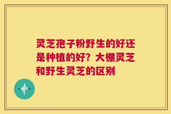 灵芝孢子粉野生的好还是种植的好？大棚灵芝和野生灵芝的区别  第1张