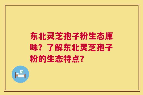 东北灵芝孢子粉生态原味?了解东北灵芝孢子粉的生态特点? 第1张 东北灵芝孢子粉生态原味?了解东北灵芝孢子粉的生态特点? 第1张