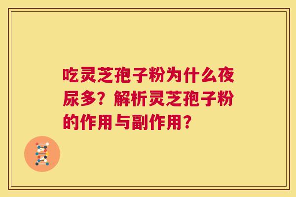 吃灵芝孢子粉为什么夜尿多?解析灵芝孢子粉的作用与副作用? 第1张 吃灵芝孢子粉为什么夜尿多?解析灵芝孢子粉的作用与副作用? 第1张