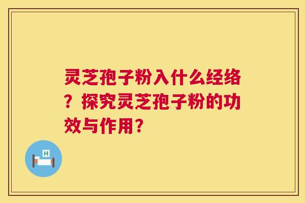 灵芝孢子粉入什么经络？探究灵芝孢子粉的功效与作用？  第1张