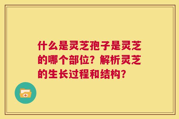 什么是灵芝孢子是灵芝的哪个部位?解析灵芝的生长过程和结构? 第1张 什么是灵芝孢子是灵芝的哪个部位?解析灵芝的生长过程和结构? 第1张