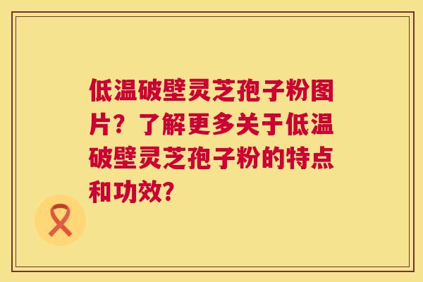 低温破壁灵芝孢子粉图片？了解更多关于低温破壁灵芝孢子粉的特点和功效？  第1张
