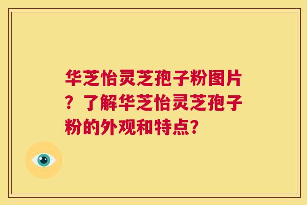 华芝怡灵芝孢子粉图片?了解华芝怡灵芝孢子粉的外观和特点? 第1张 华芝怡灵芝孢子粉图片?了解华芝怡灵芝孢子粉的外观和特点? 第1张