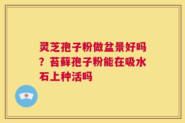 灵芝孢子粉做盆景好吗?苔藓孢子粉能在吸水石上种活吗 第1张 灵芝孢子粉做盆景好吗?苔藓孢子粉能在吸水石上种活吗 第1张