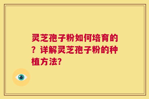 灵芝孢子粉如何培育的？详解灵芝孢子粉的种植方法？  第1张