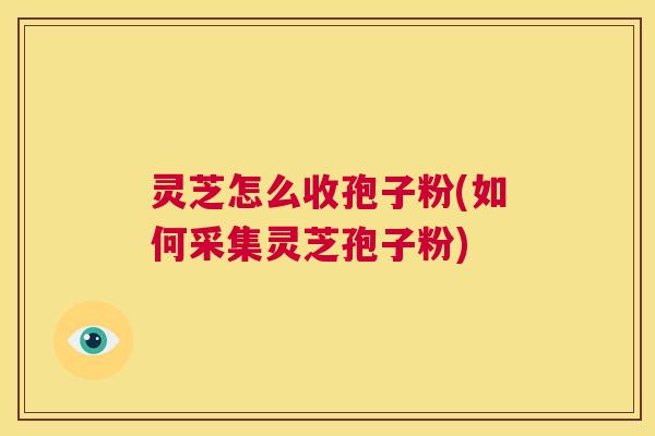 灵芝怎么收孢子粉(如何采集灵芝孢子粉) 第1张 灵芝怎么收孢子粉(如何采集灵芝孢子粉) 第1张
