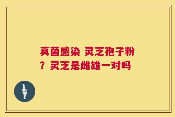 真菌感染 灵芝孢子粉?灵芝是雌雄一对吗 第1张 真菌感染 灵芝孢子粉?灵芝是雌雄一对吗 第1张