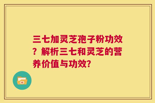 三七加灵芝孢子粉功效?解析三七和灵芝的营养价值与功效? 第1张 三七加灵芝孢子粉功效?解析三七和灵芝的营养价值与功效? 第1张