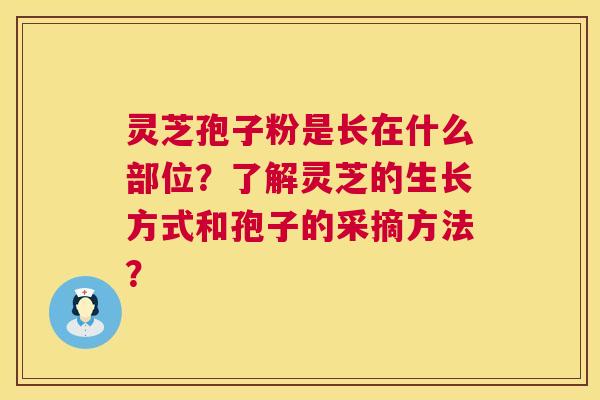灵芝孢子粉是长在什么部位?了解灵芝的生长方式和孢子的采摘方法? 第1张 灵芝孢子粉是长在什么部位?了解灵芝的生长方式和孢子的采摘方法? 第1张