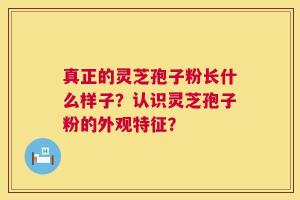真正的灵芝孢子粉长什么样子？认识灵芝孢子粉的外观特征？  第1张