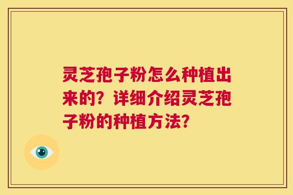 灵芝孢子粉怎么种植出来的？详细介绍灵芝孢子粉的种植方法？  第1张