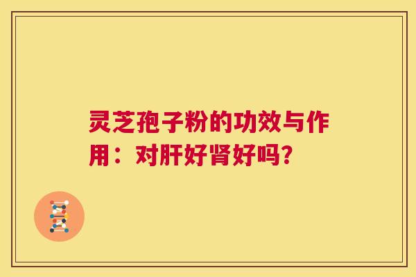 灵芝孢子粉的功效与作用:对肝好肾好吗? 第1张 灵芝孢子粉的功效与作用:对肝好肾好吗? 第1张