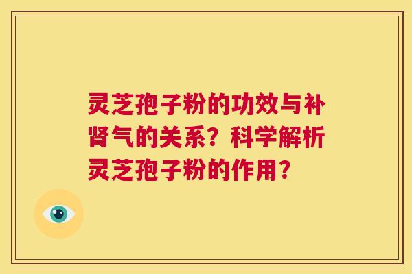 灵芝孢子粉的功效与补肾气的关系？科学解析灵芝孢子粉的作用？  第1张