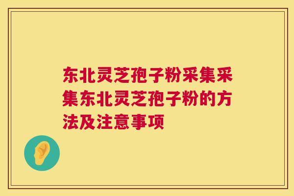 东北灵芝孢子粉采集采集东北灵芝孢子粉的方法及注意事项 第1张 东北灵芝孢子粉采集采集东北灵芝孢子粉的方法及注意事项 第1张