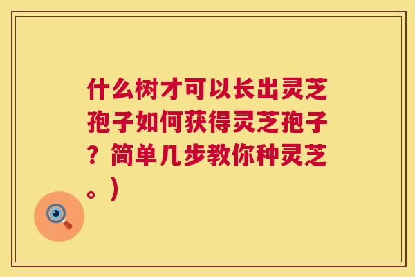 什么树才可以长出灵芝孢子如何获得灵芝孢子？简单几步教你种灵芝。)  第1张