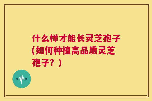 什么样才能长灵芝孢子(如何种植高品质灵芝孢子?) 第1张 什么样才能长灵芝孢子(如何种植高品质灵芝孢子?) 第1张